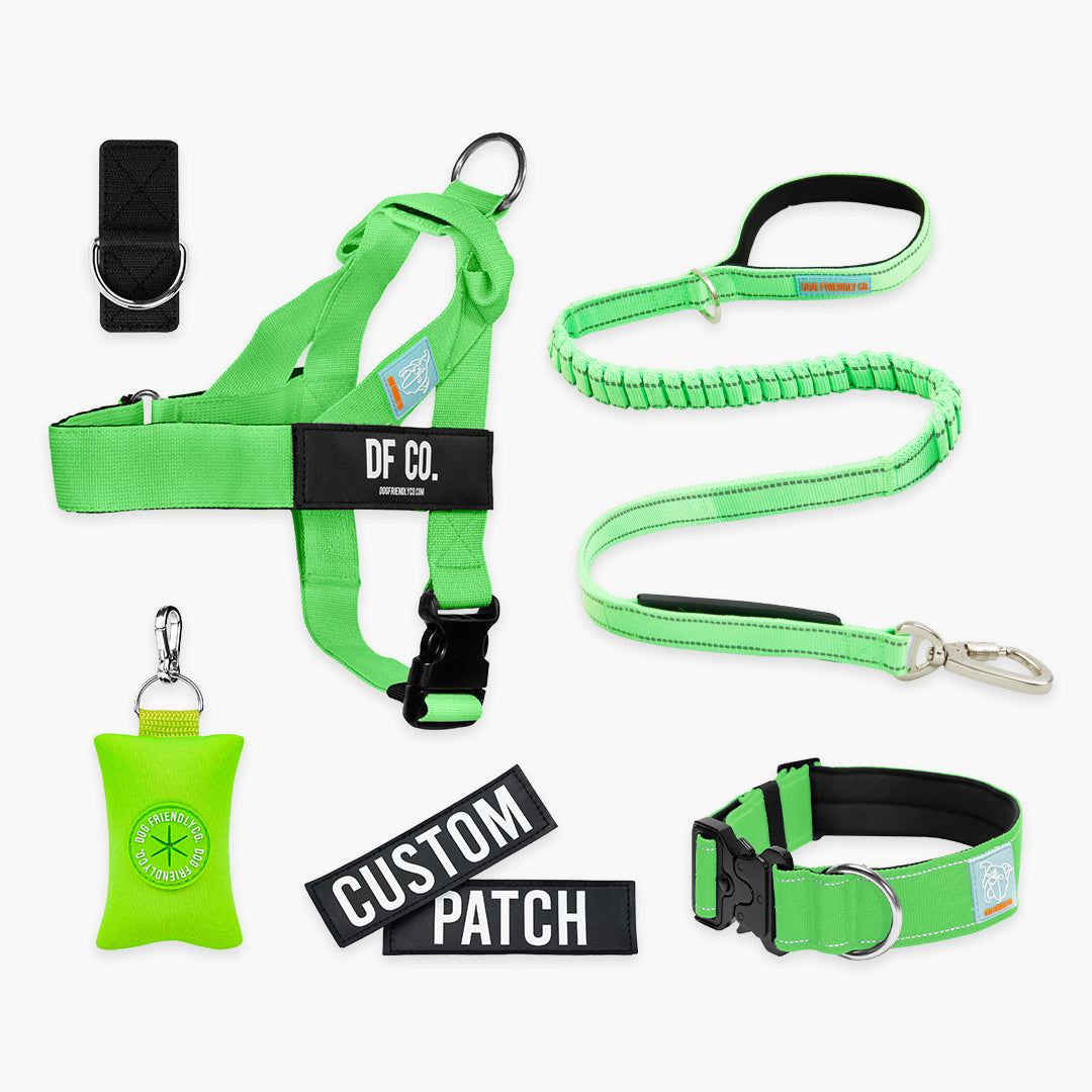 Ultimate No-Pull Bundle