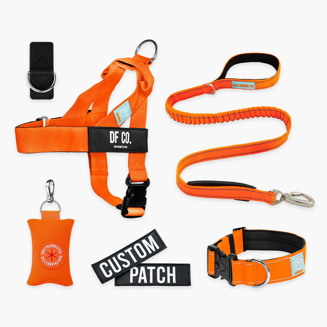 Ultimate No-Pull Bundle