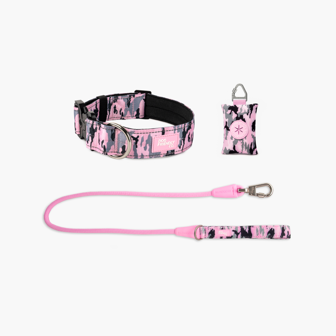Collar Walk Set - Pink Camo