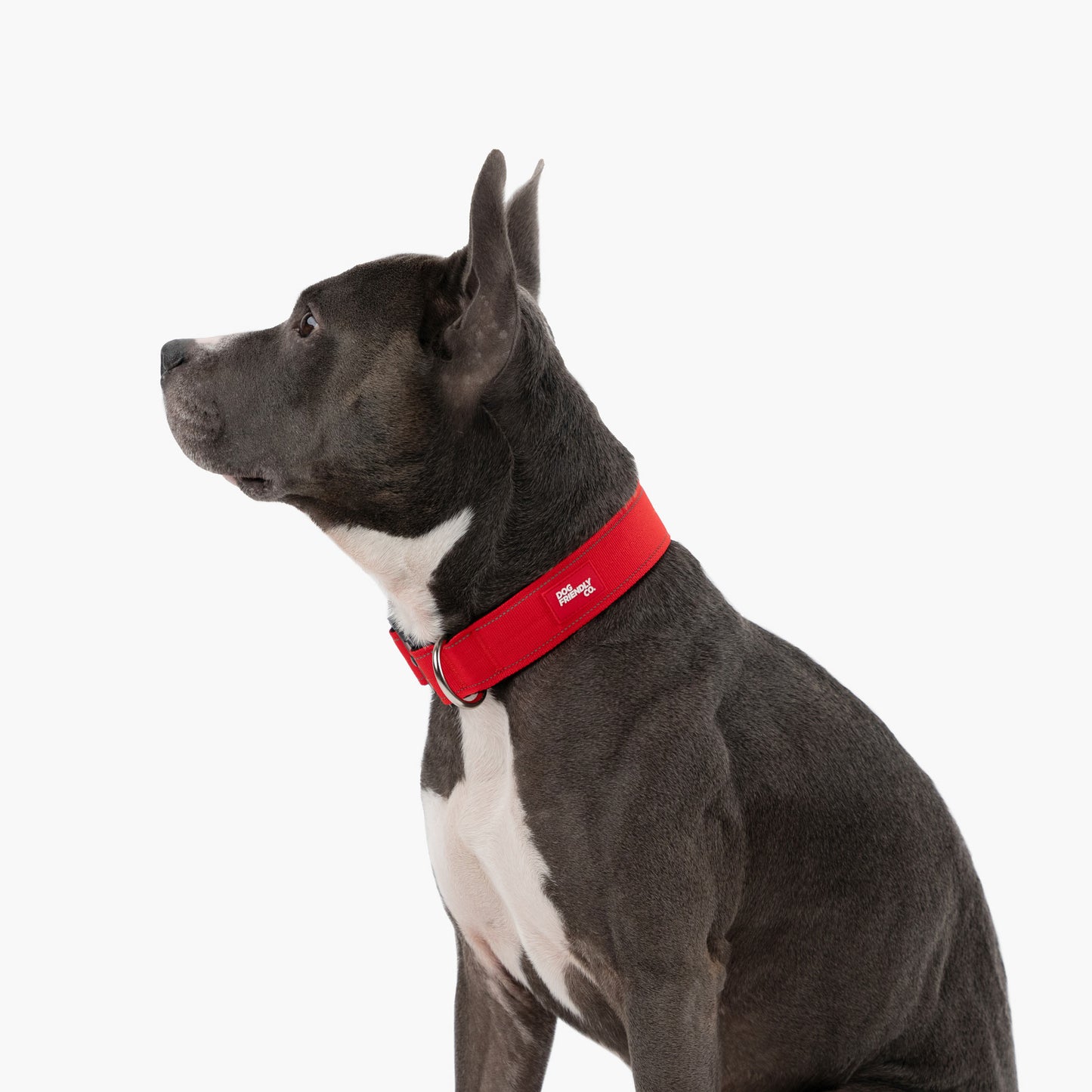 Collar Walk Set - Red