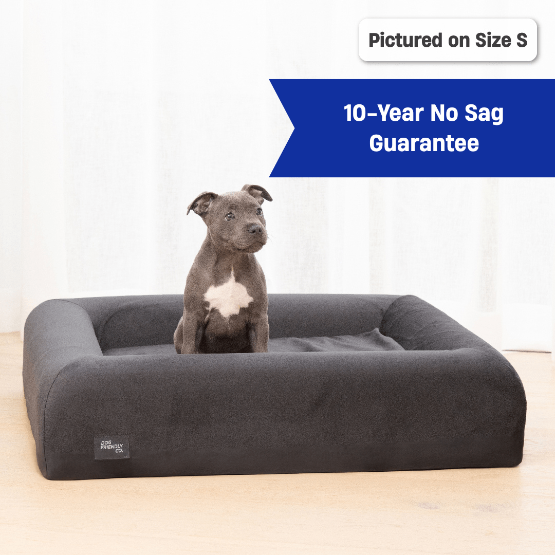 Premium Orthopedic Memory Foam Dog Bed - Charcoal (Medium)