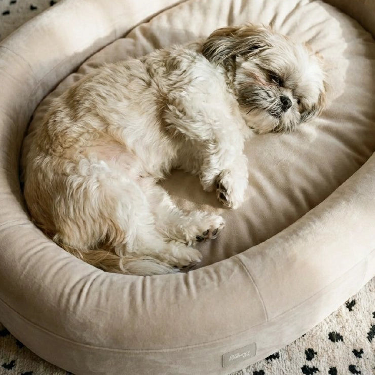 Chill Pill Replacement Cover - Beige