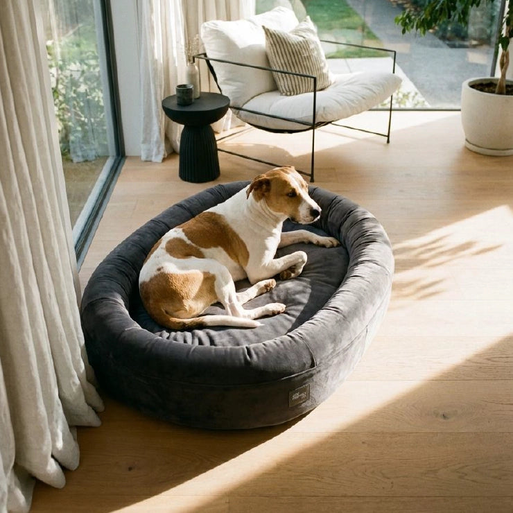 Chill Pill Replacement Cover - Charcoal