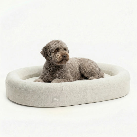 Chill Pill Memory Foam Dog Bed - Beige (Large)