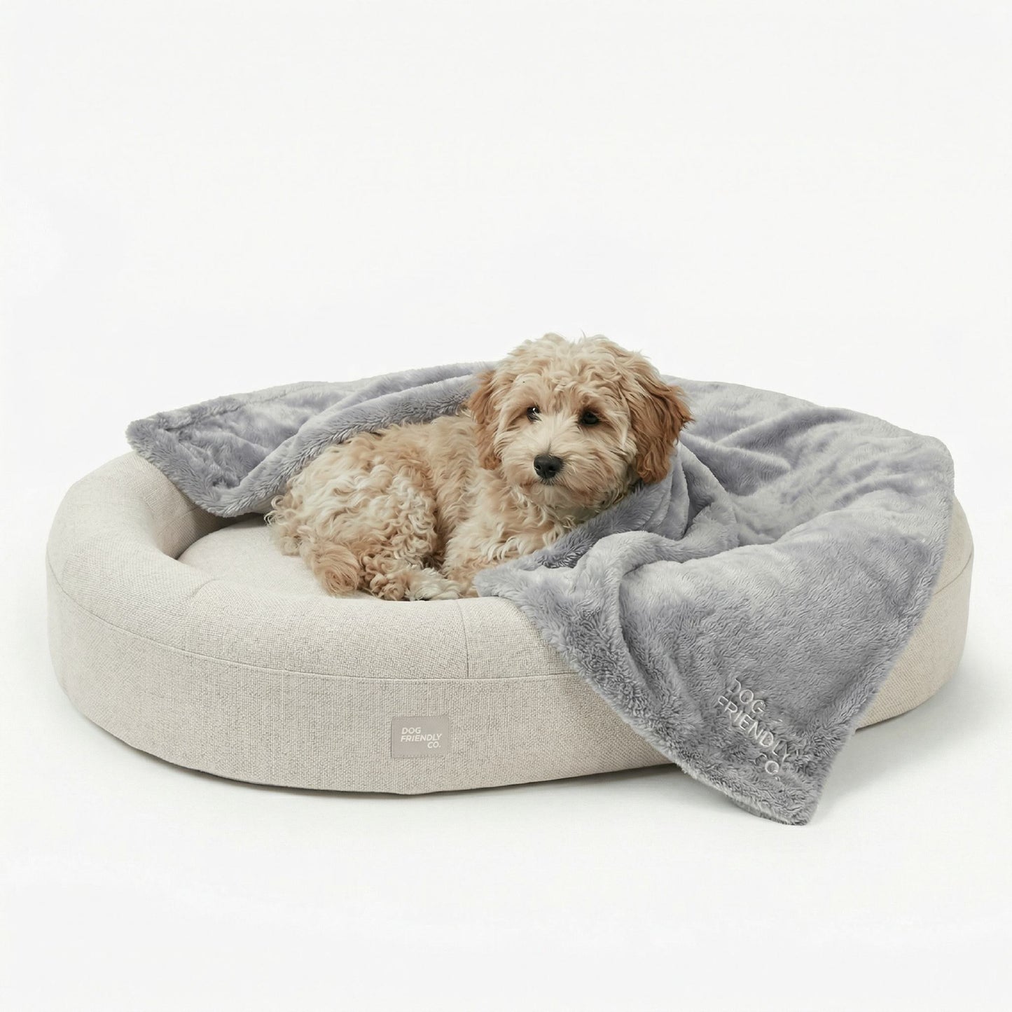 Chill Pill Memory Foam Dog Bed - Beige (Large)