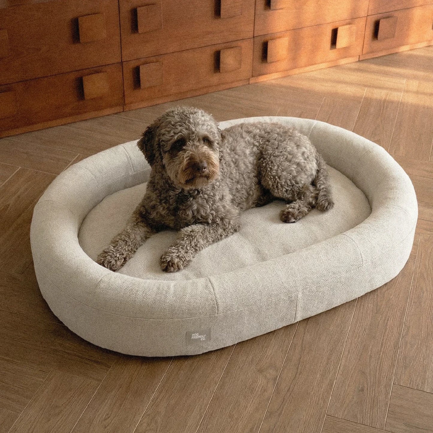 Chill Pill Memory Foam Dog Bed - Beige (Large)