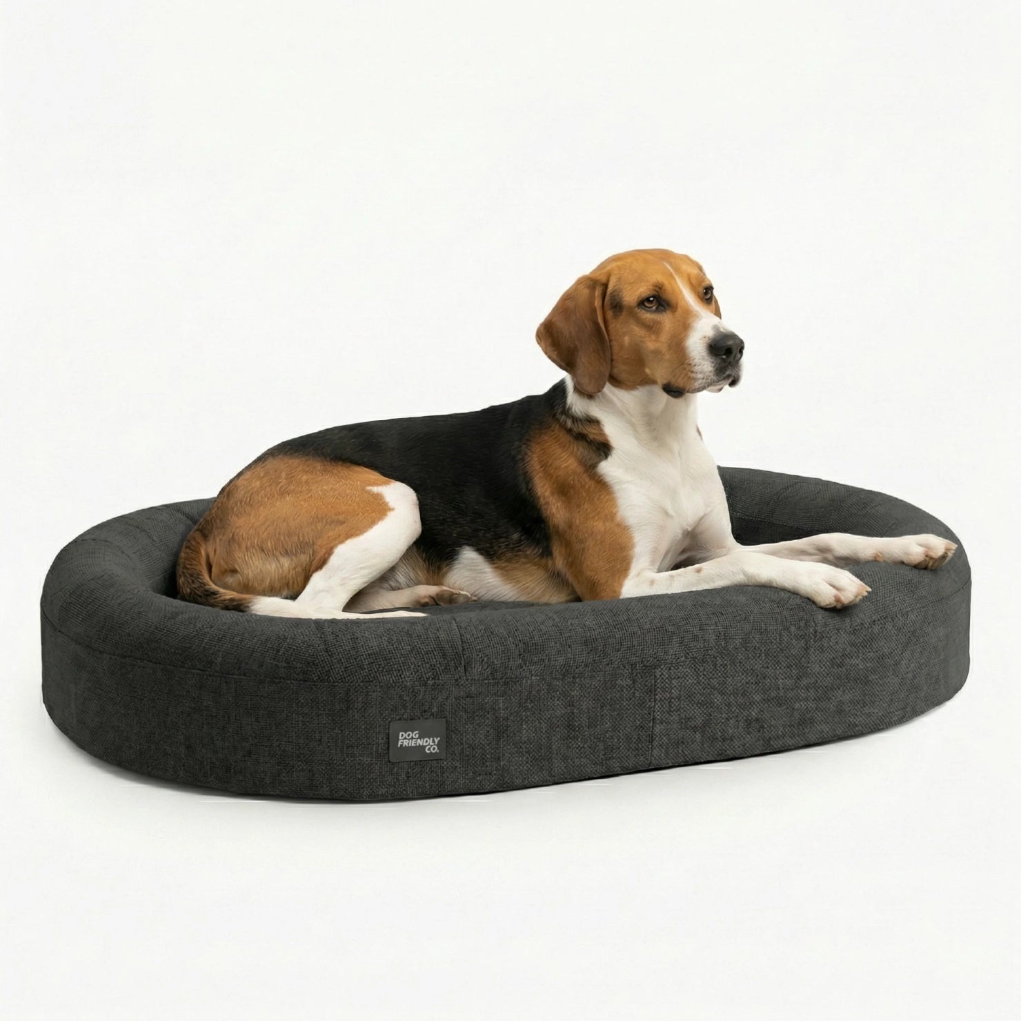 Medium Dog Beds
