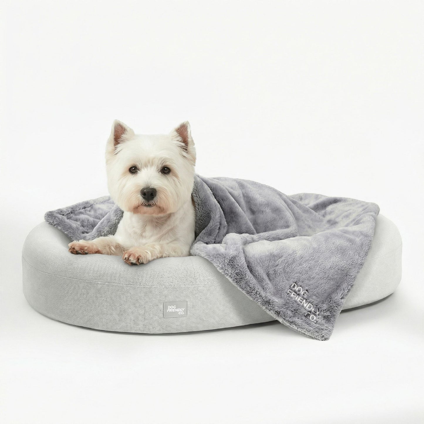 Chill Pill Memory Foam Dog Bed - Grey (Medium)