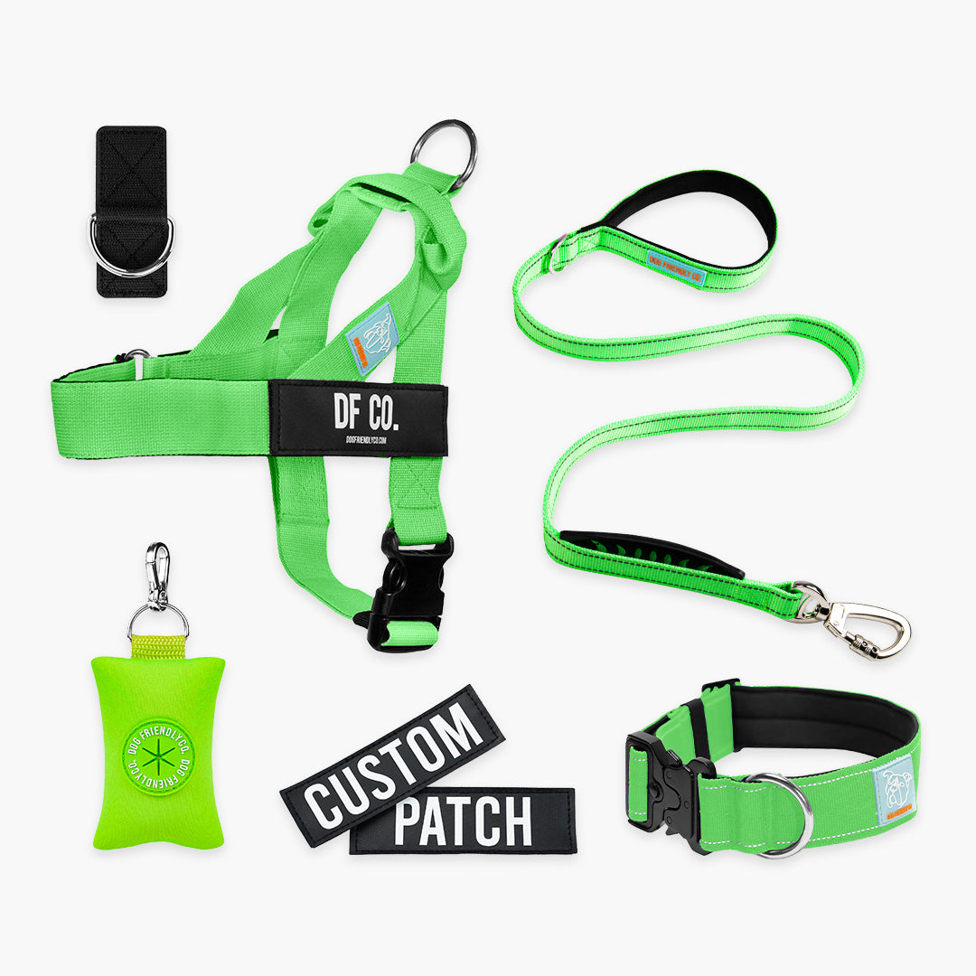 Ultimate No-Pull Bundle