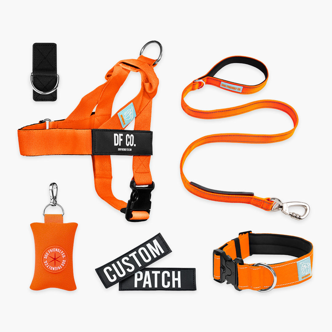 Ultimate No-Pull Bundle