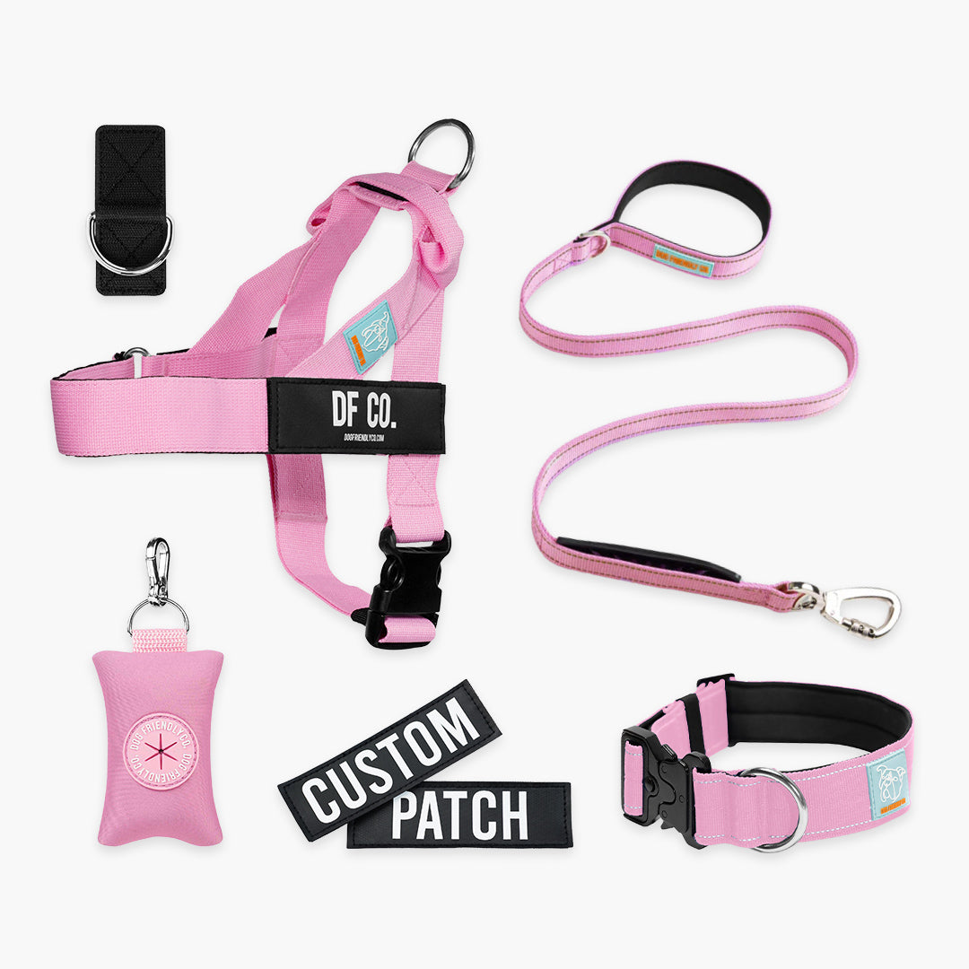 Ultimate No-Pull Bundle