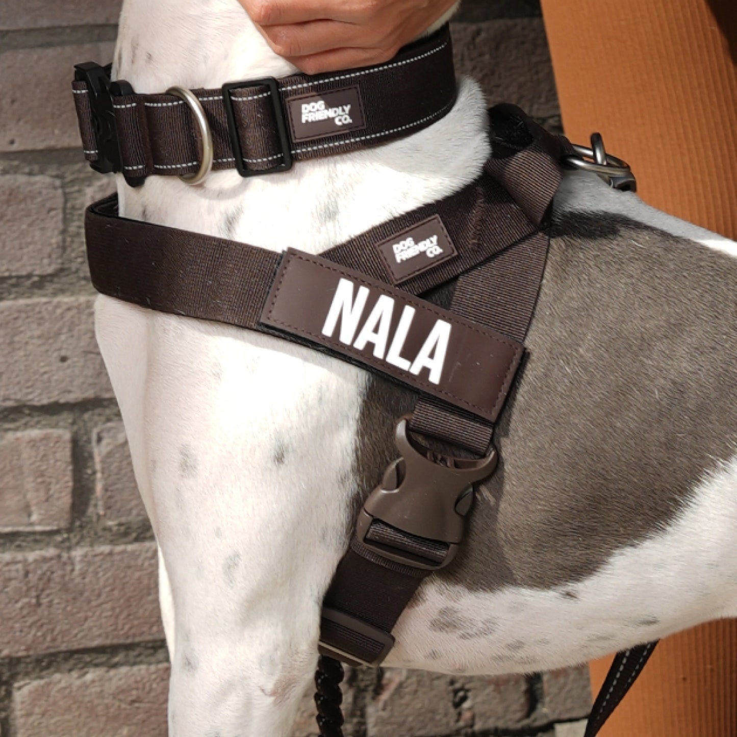 Ultimate No-Pull Bundle - Limited Edition Espresso