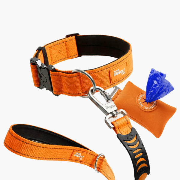 Collar Walk Set