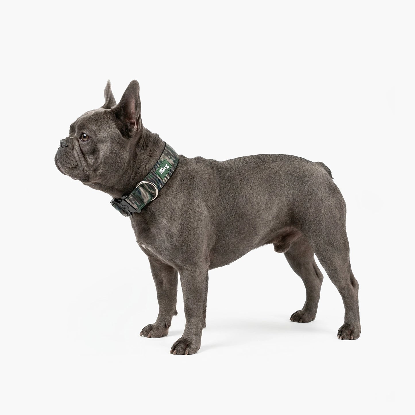 Tactical Dog Collar - Green Camo