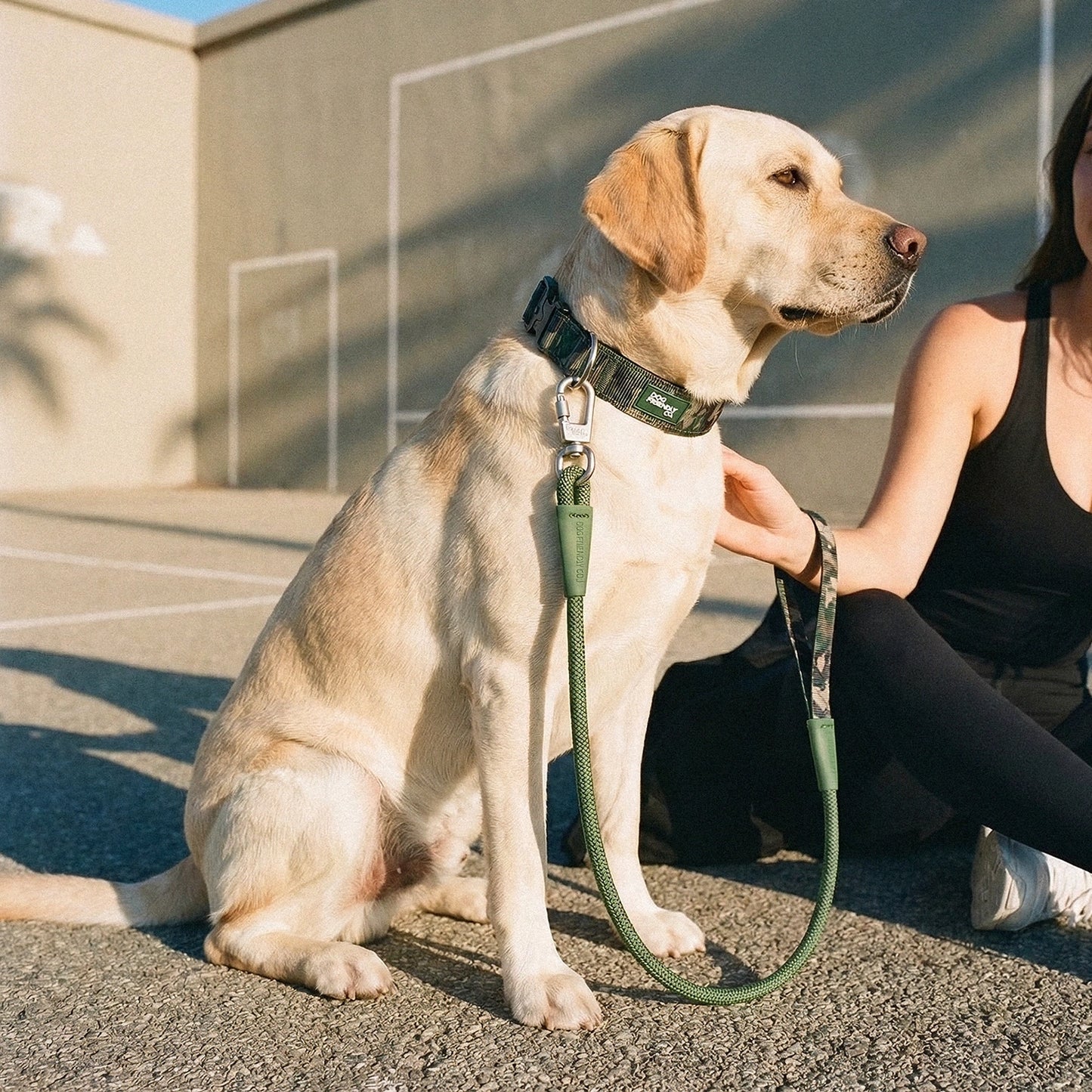 Tactical Dog Collar - Green Camo