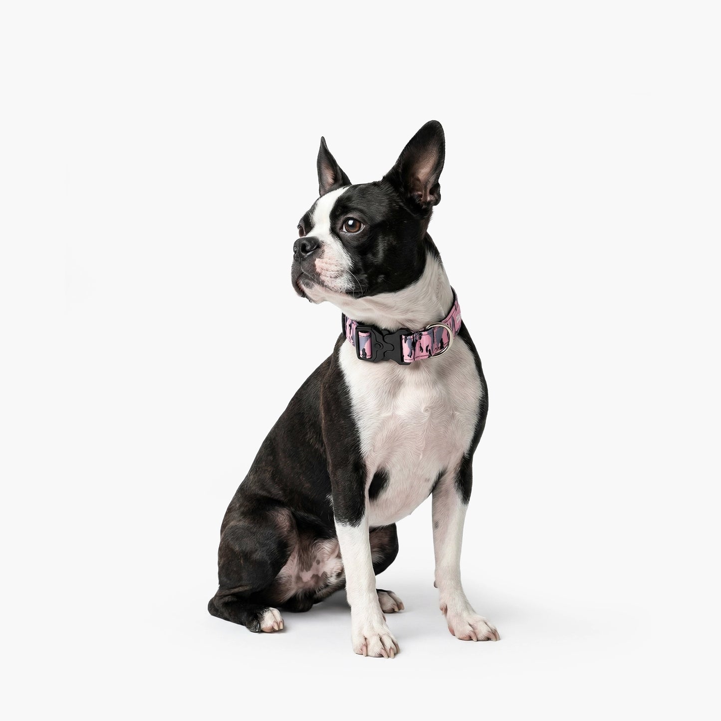Tactical Dog Collar - Pink Camo