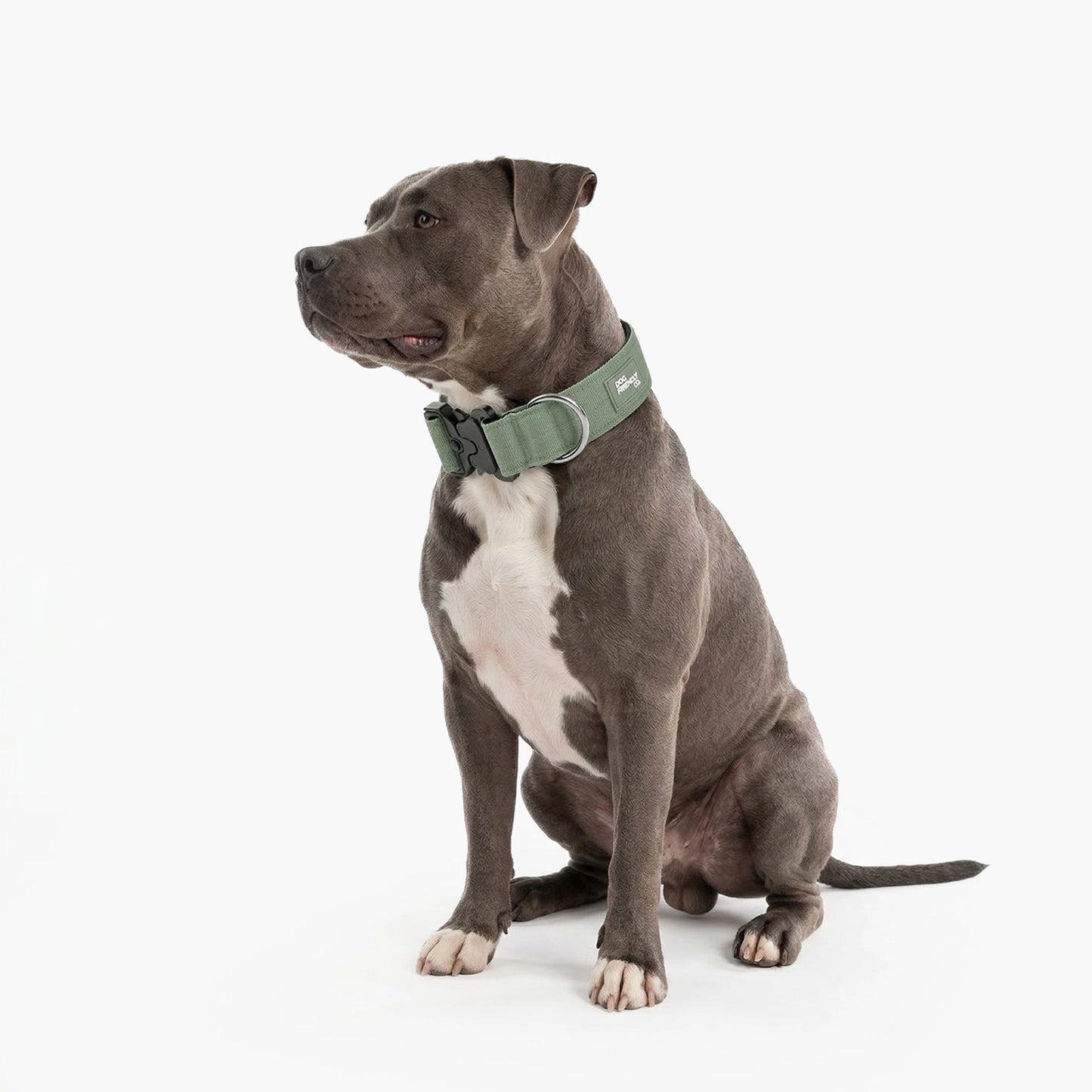 Tactical Dog Collar - Khaki