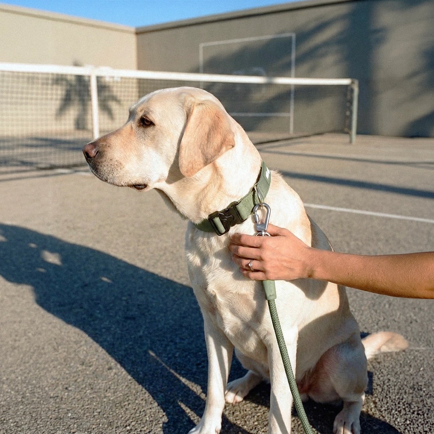 Tactical Dog Collar - Khaki