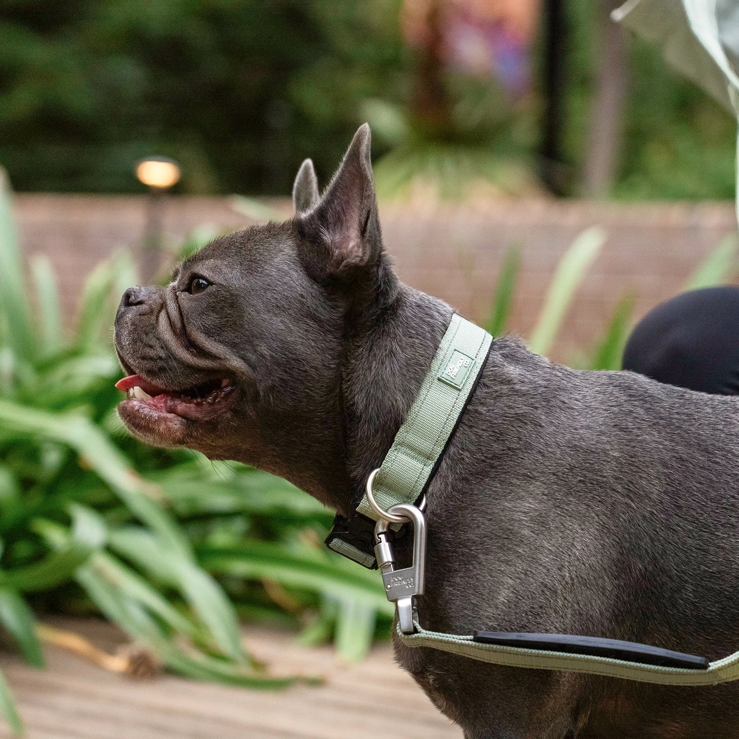 Tactical Dog Collar - Khaki