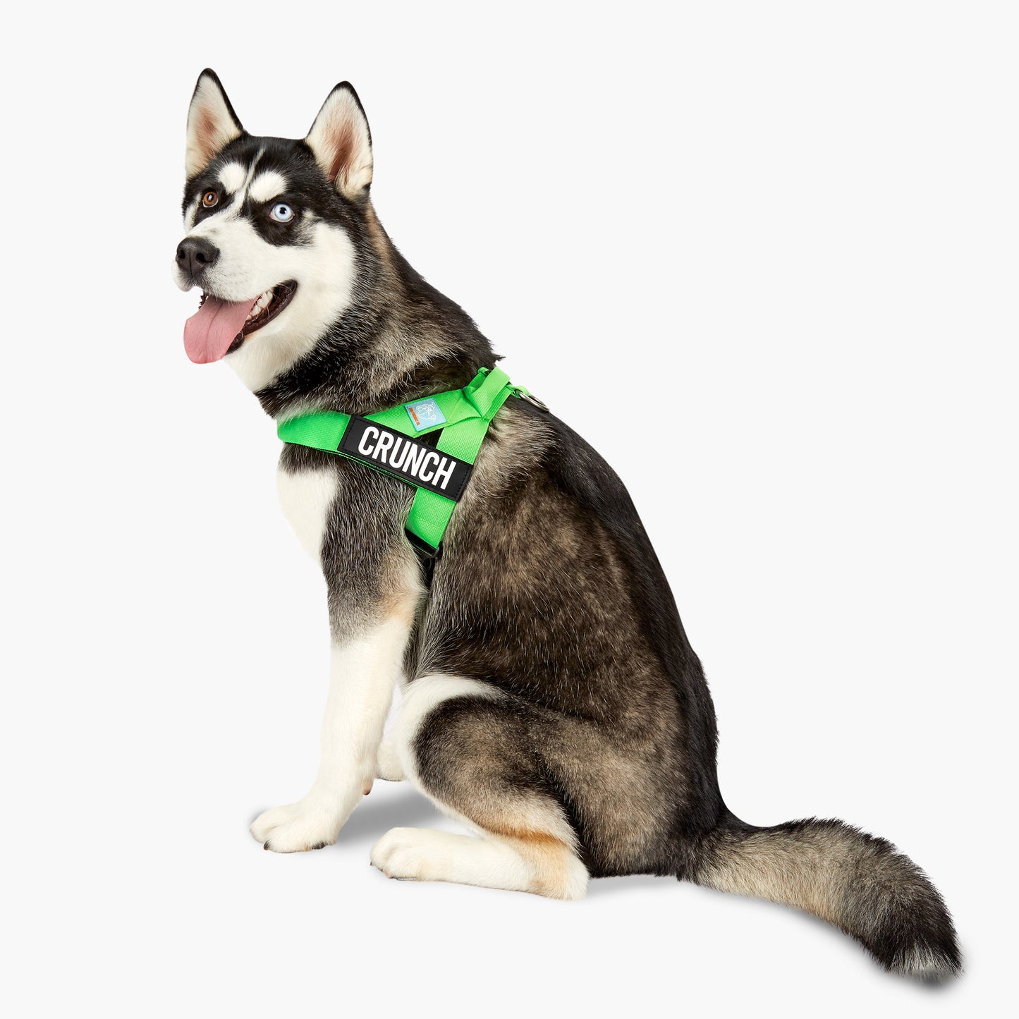 Ultimate No-Pull Bundle