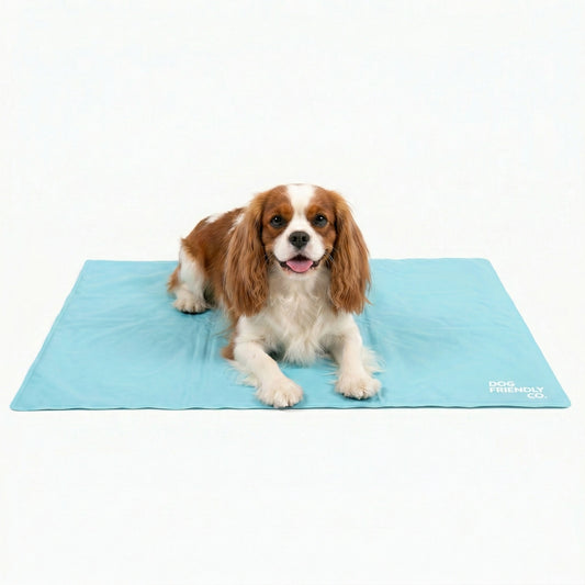 Dog Cooling Mat