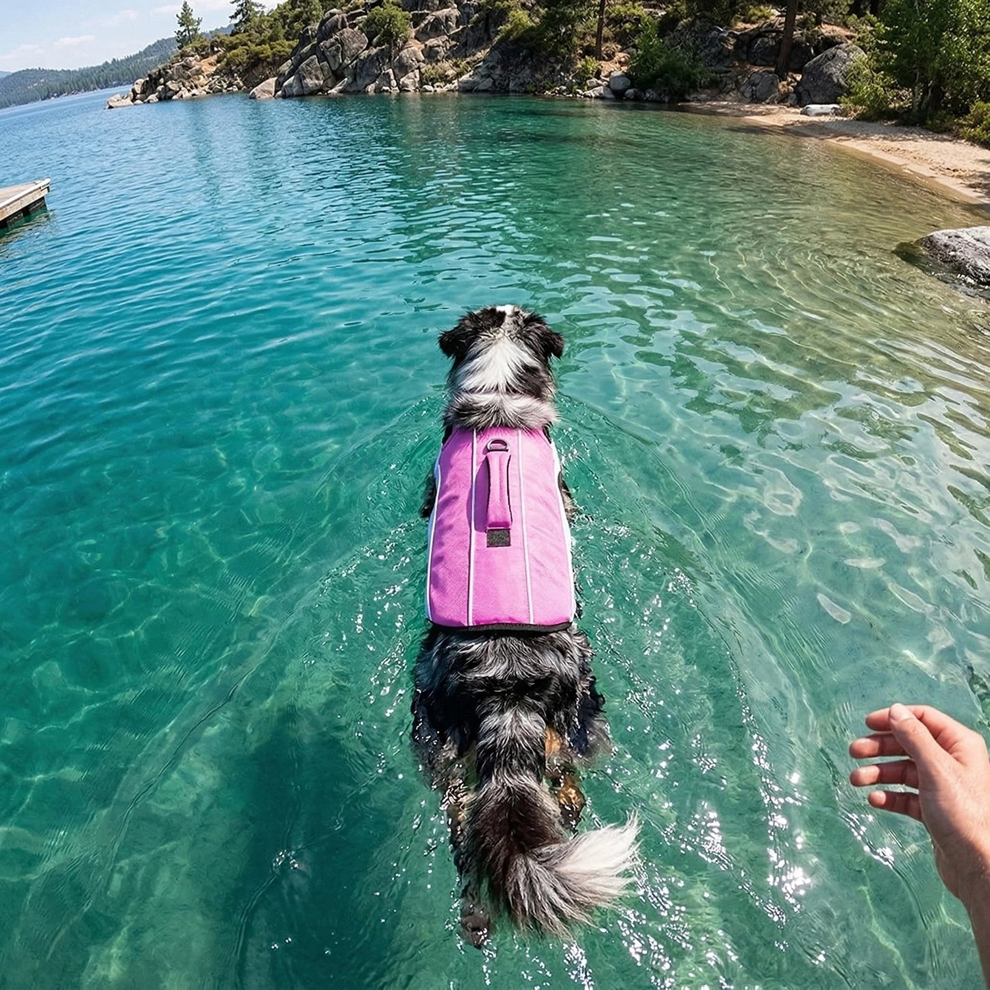 Dog Life Jacket