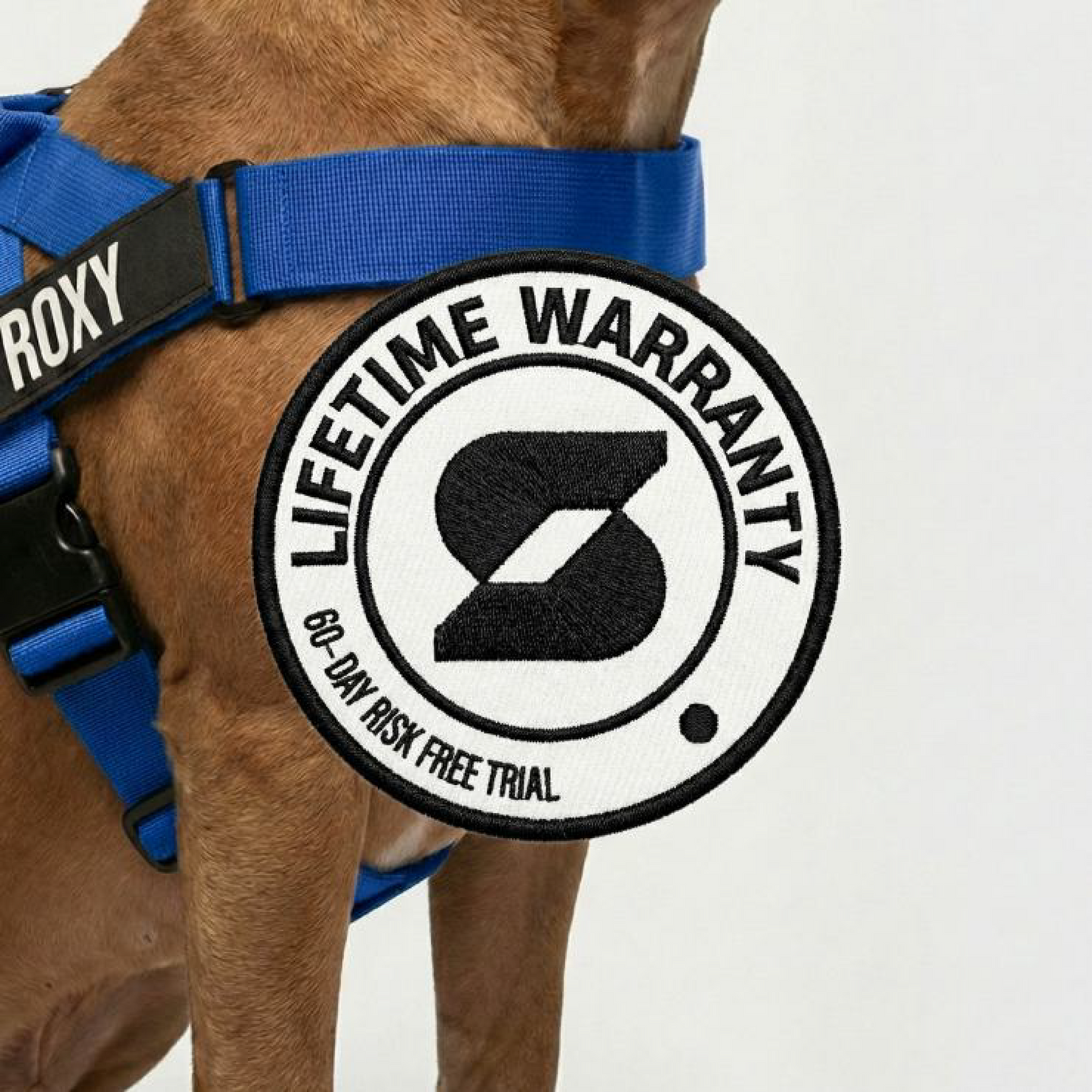 Dog Lovers Pack - Classic Blue
