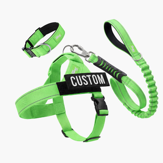 Dog Lovers Pack - Neon Green