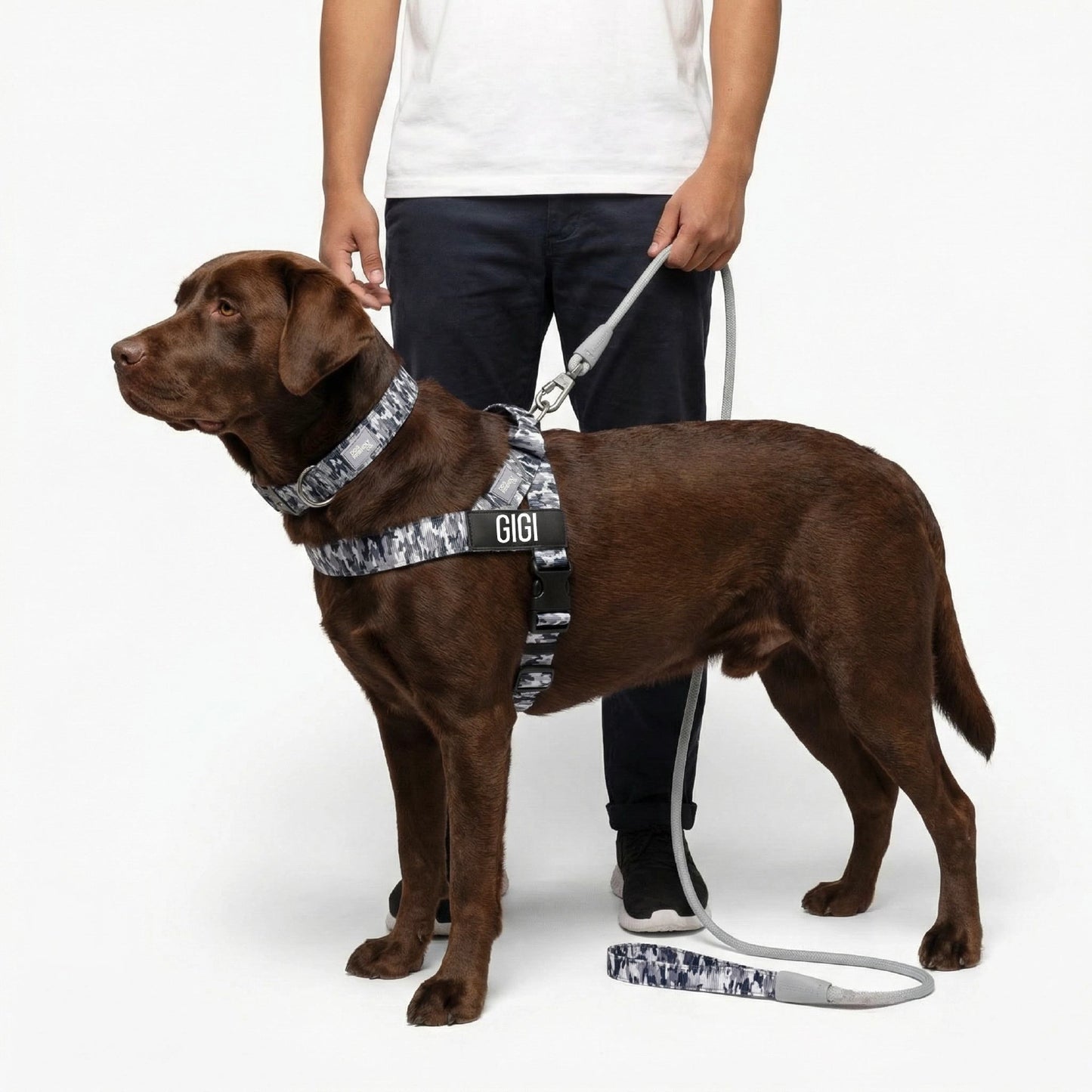 Dog Lovers Pack - Grey Camo