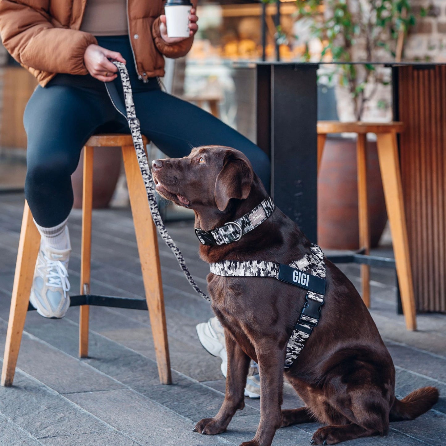 Dog Lovers Pack - Grey Camo