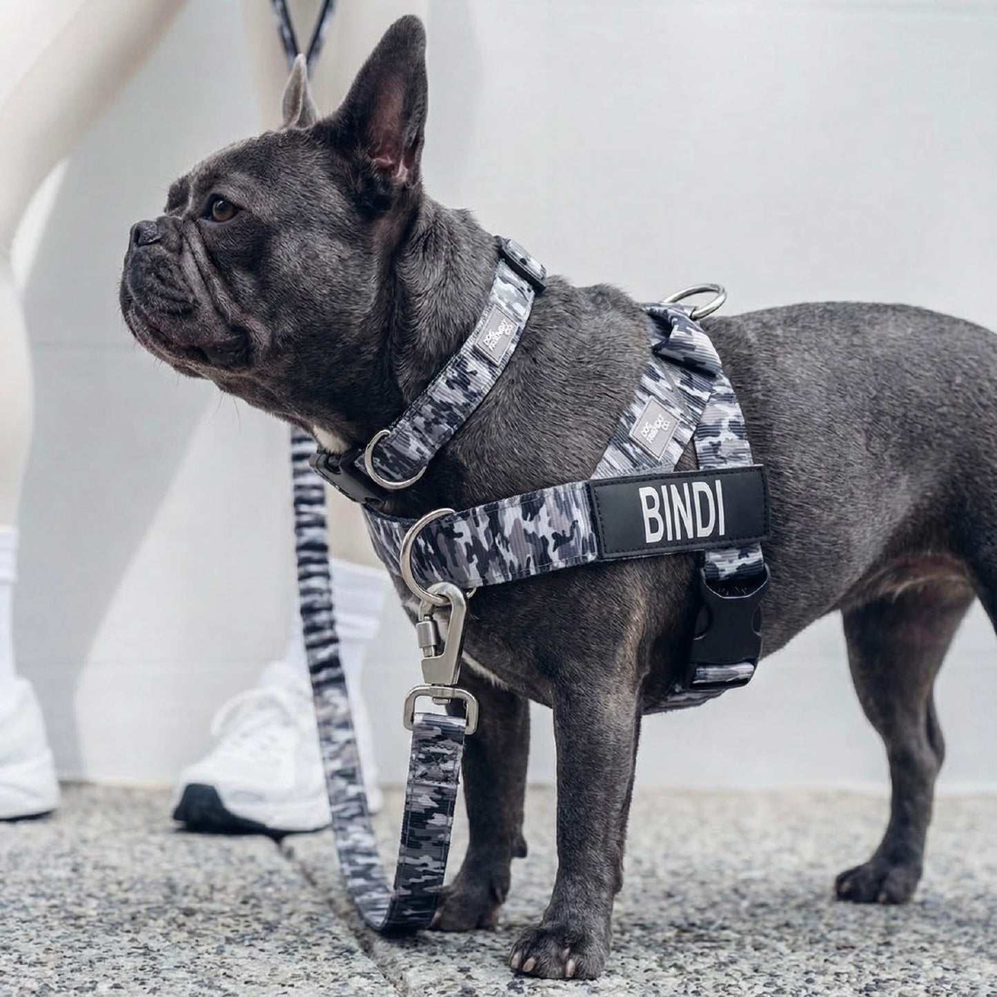 Dog Lovers Pack - Grey Camo