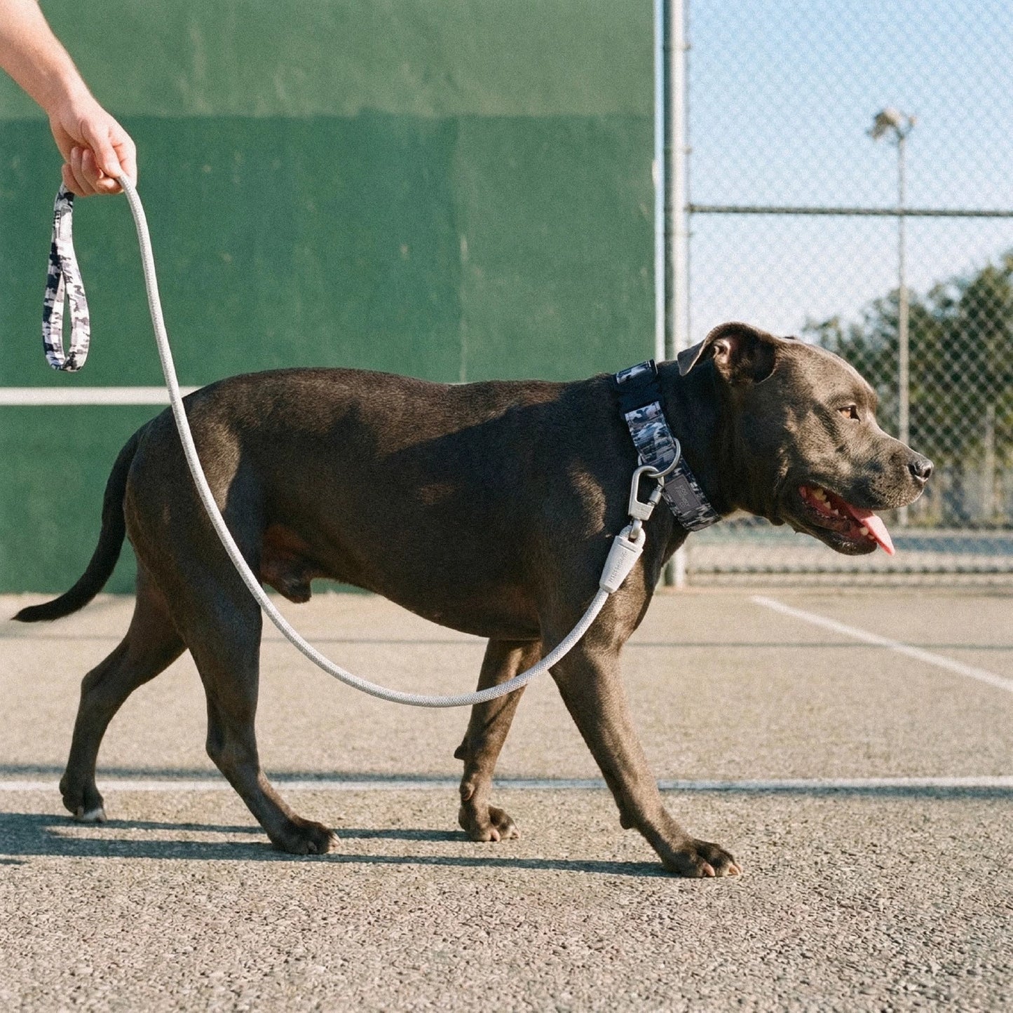 Dog Lovers Pack - Grey Camo