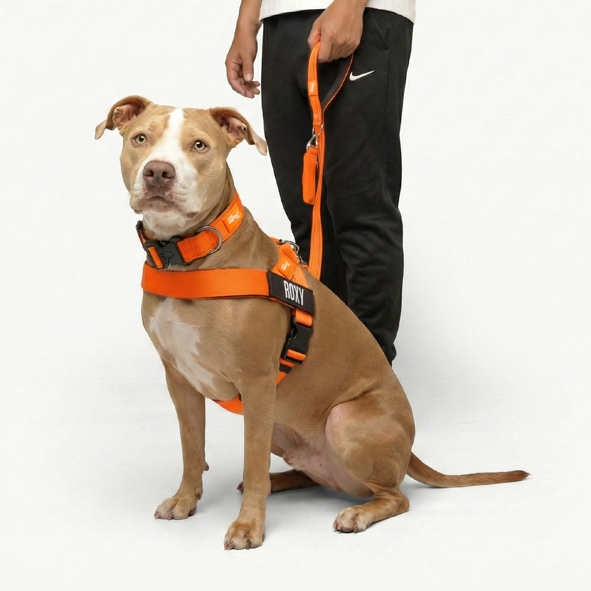 Dog Lovers Pack