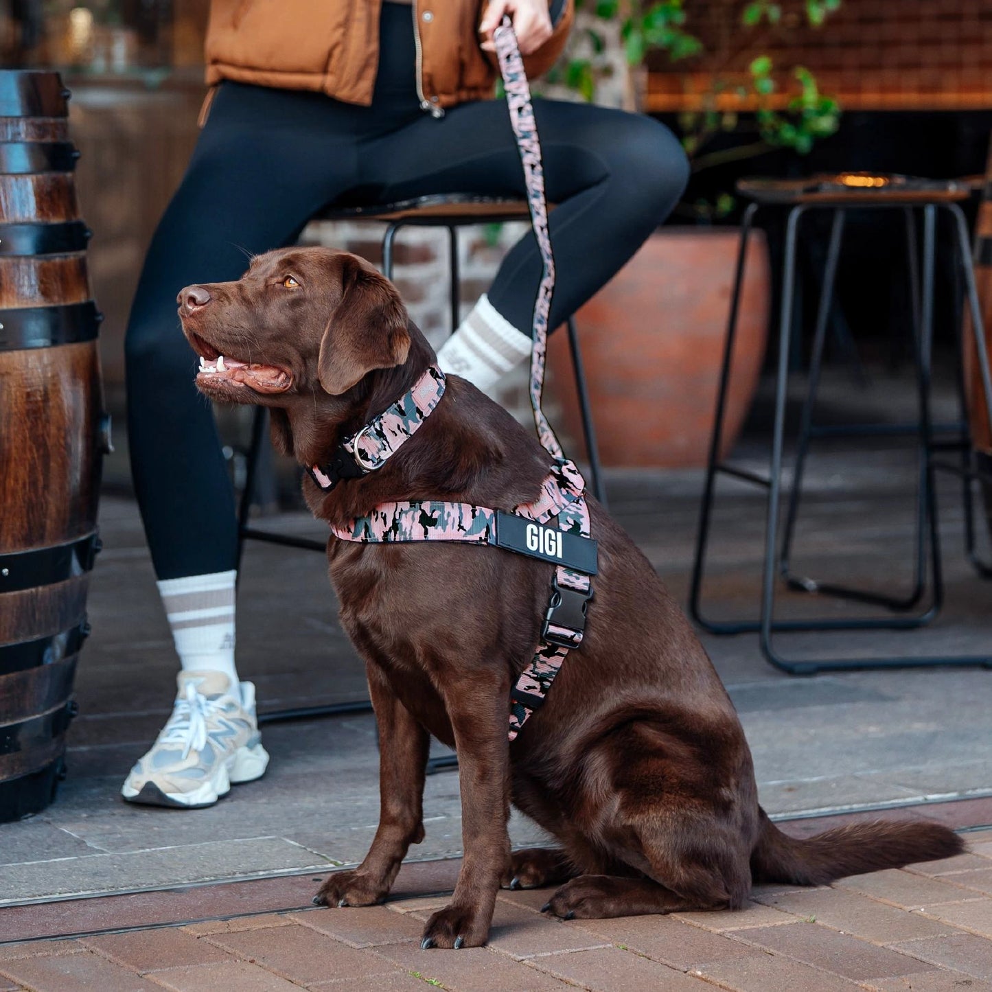 Dog Lovers Pack - Pink Camo