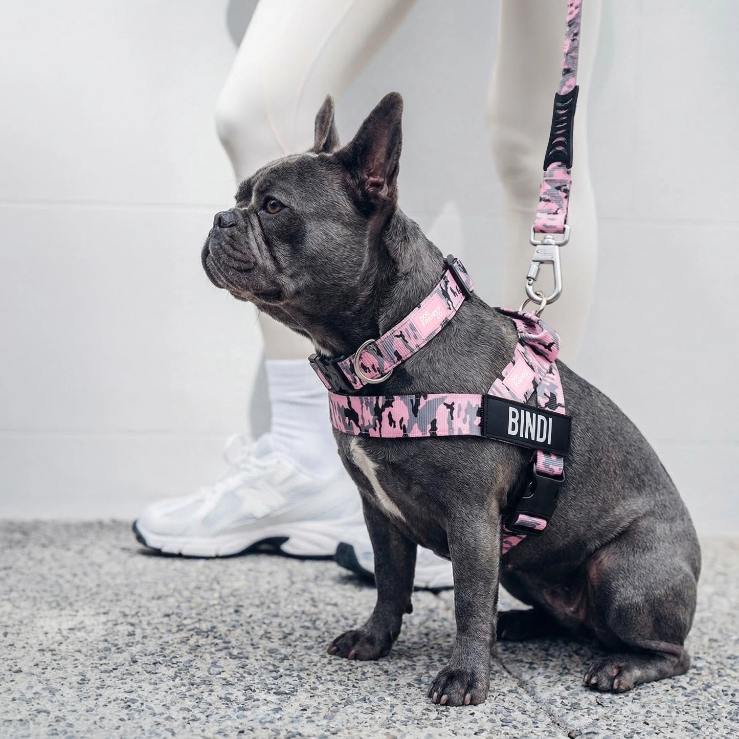 Dog Lovers Pack - Pink Camo