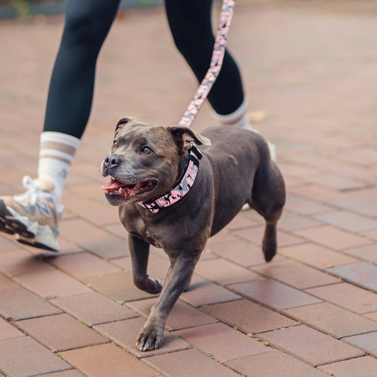 Dog Lovers Pack - Pink Camo