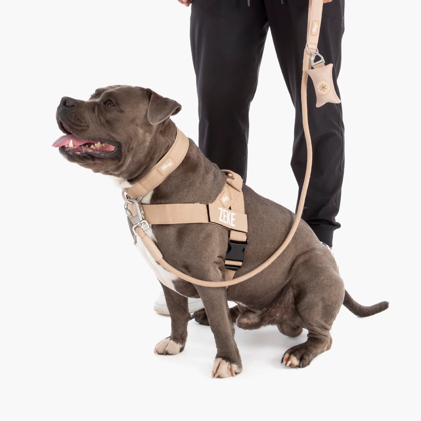 Dog Lovers Pack - Brown