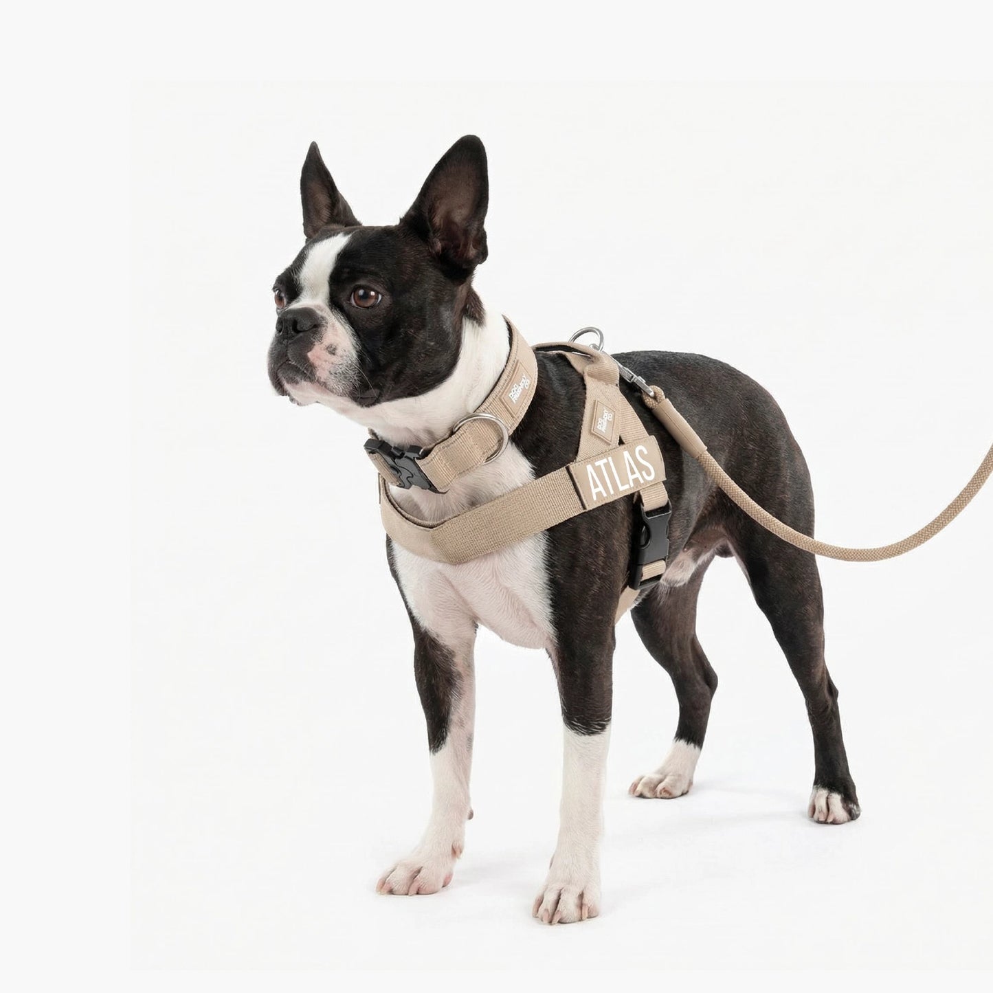 Dog Lovers Pack - Brown