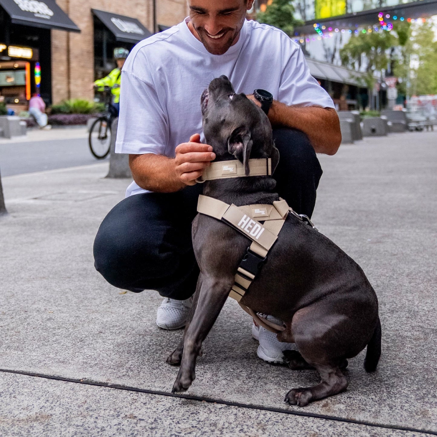 Dog Lovers Pack - Brown