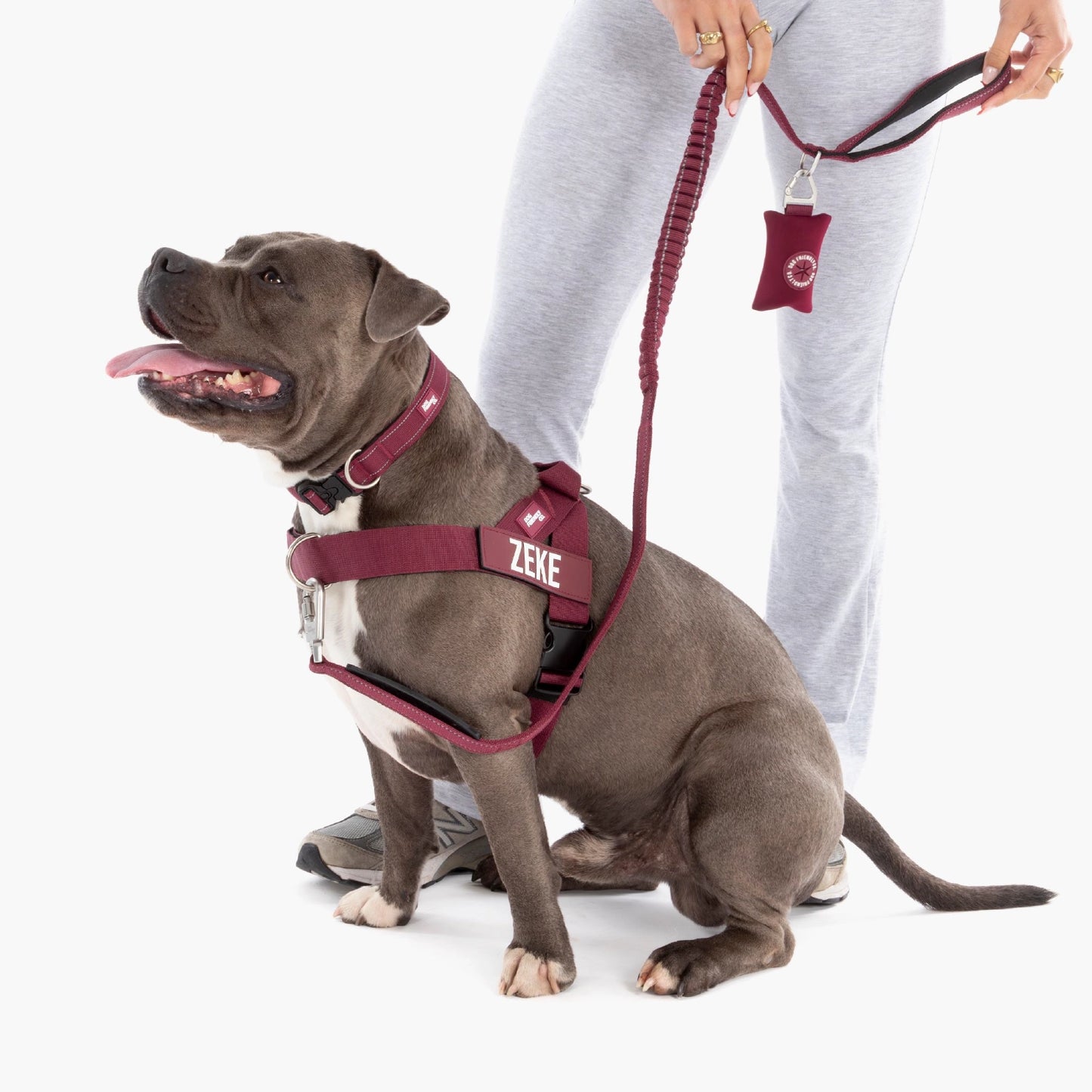 Dog Lovers Pack - Burgundy