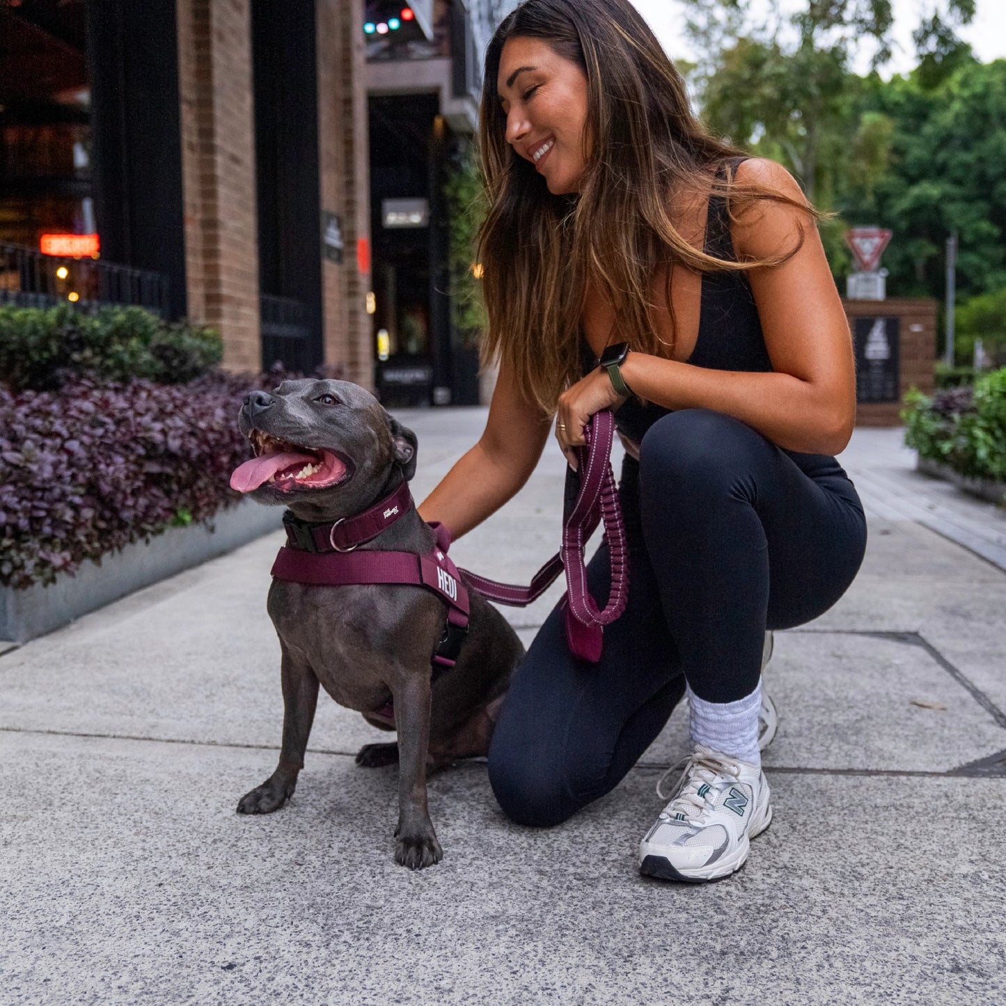 Dog Lovers Pack - Burgundy