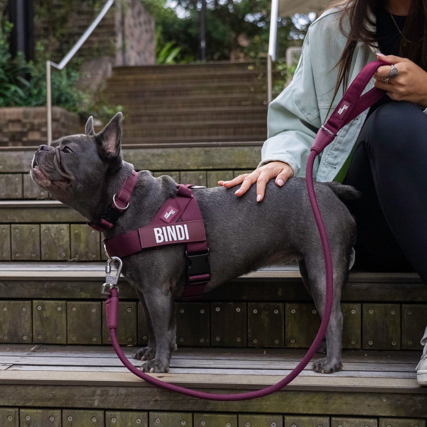 Dog Lovers Pack - Burgundy