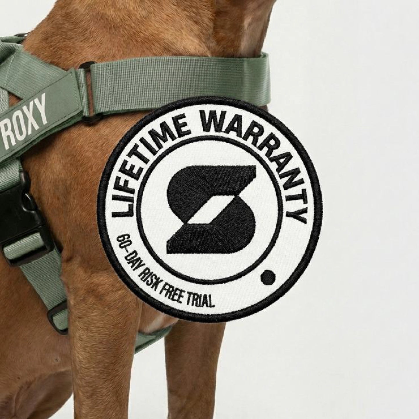 Dog Lovers Pack - Khaki