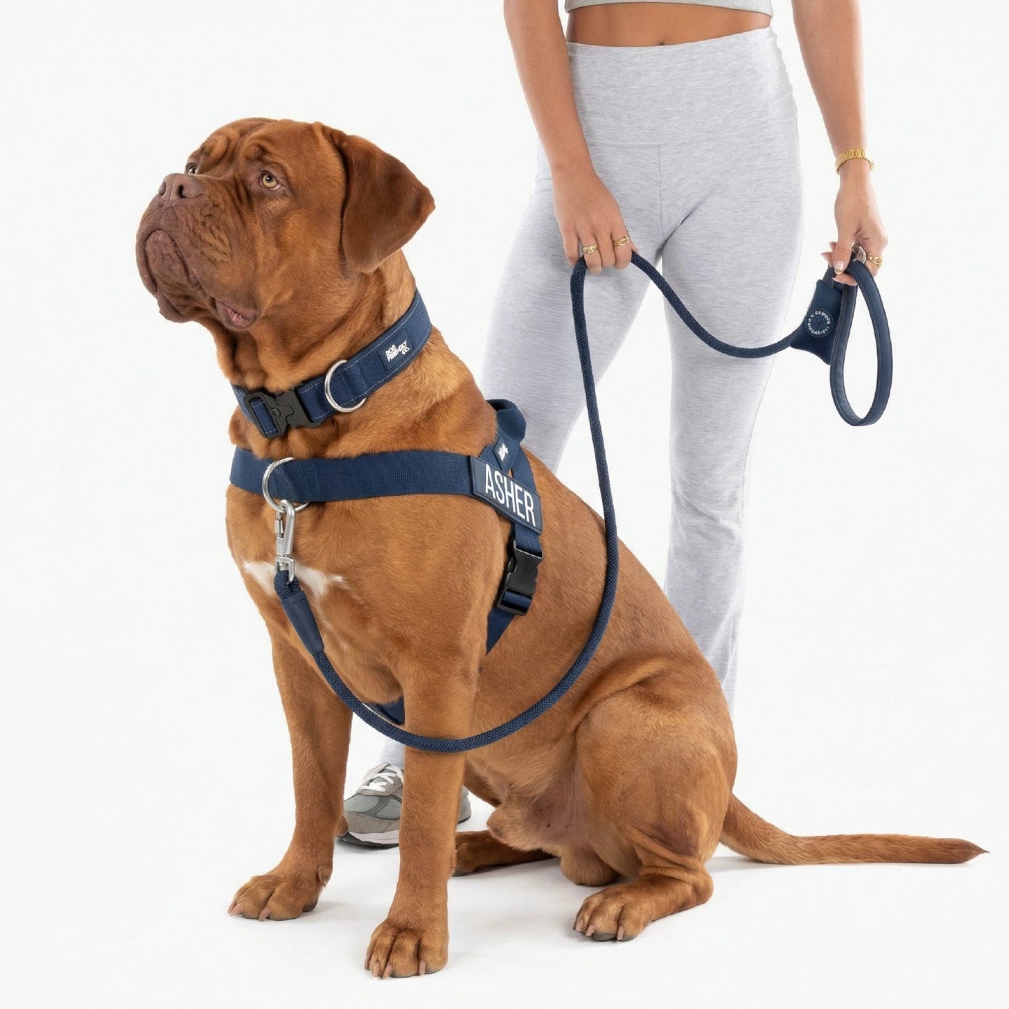 Dog Lovers Pack - Navy Blue