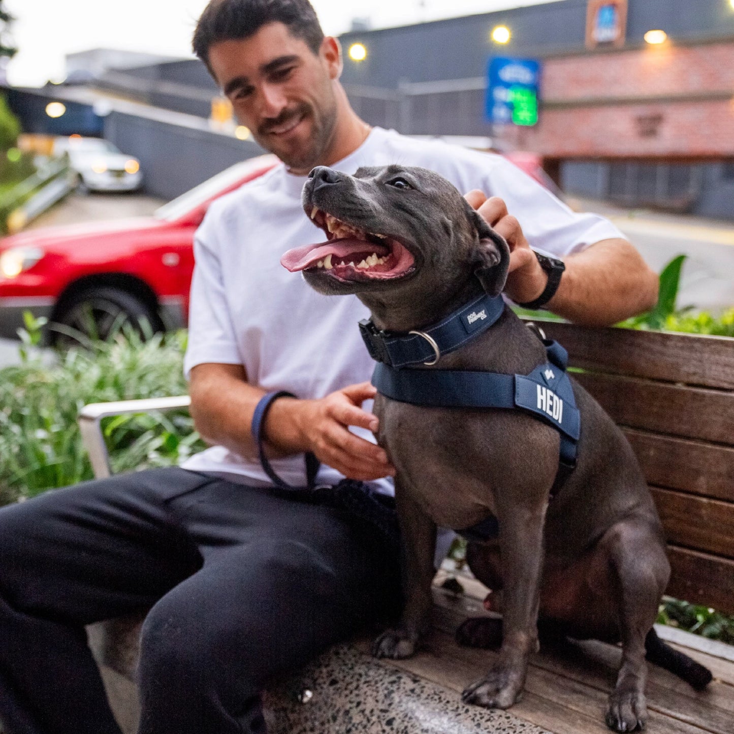 Dog Lovers Pack - Navy Blue