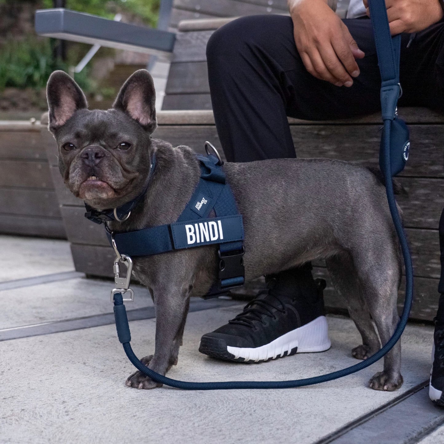 Dog Lovers Pack - Navy Blue