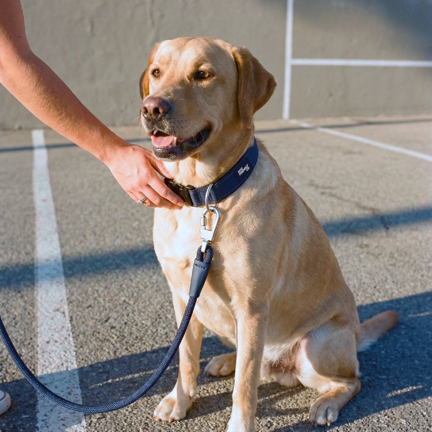Dog Lovers Pack - Navy Blue