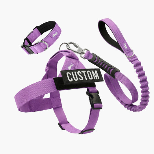 Dog Lovers Pack - Purple