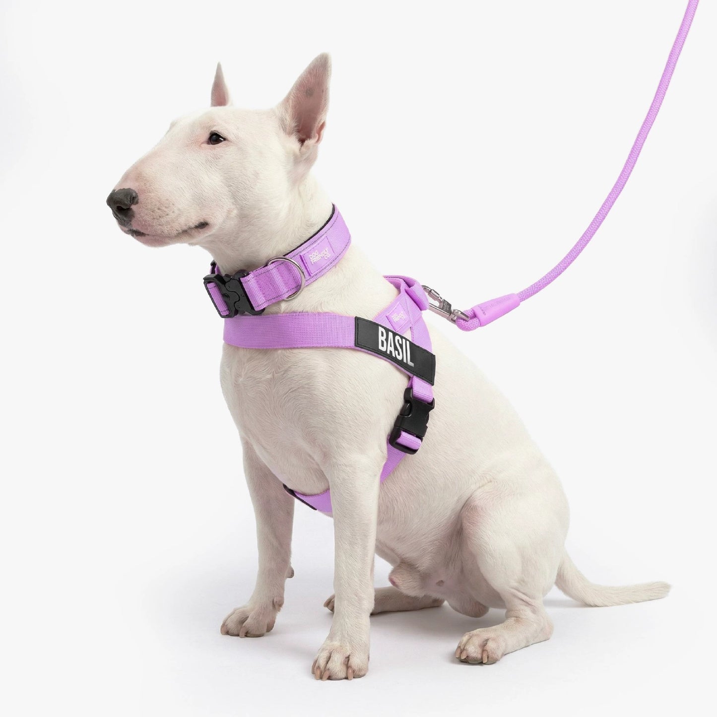 Dog Lovers Pack - Purple