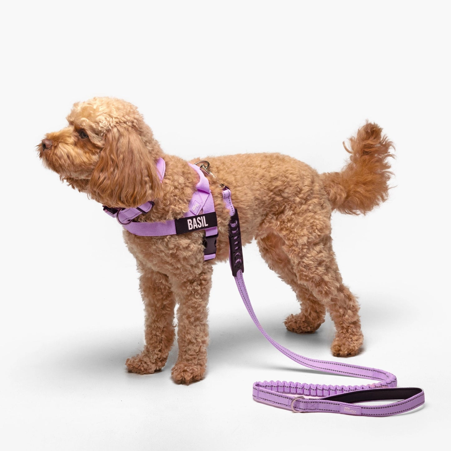 Dog Lovers Pack - Purple